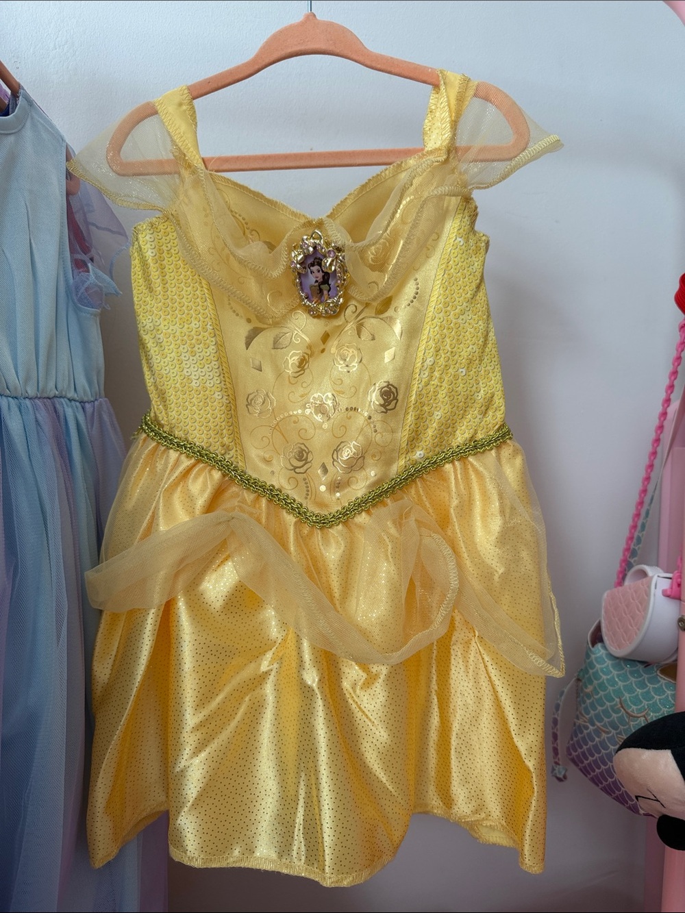 Princess Belle Costume